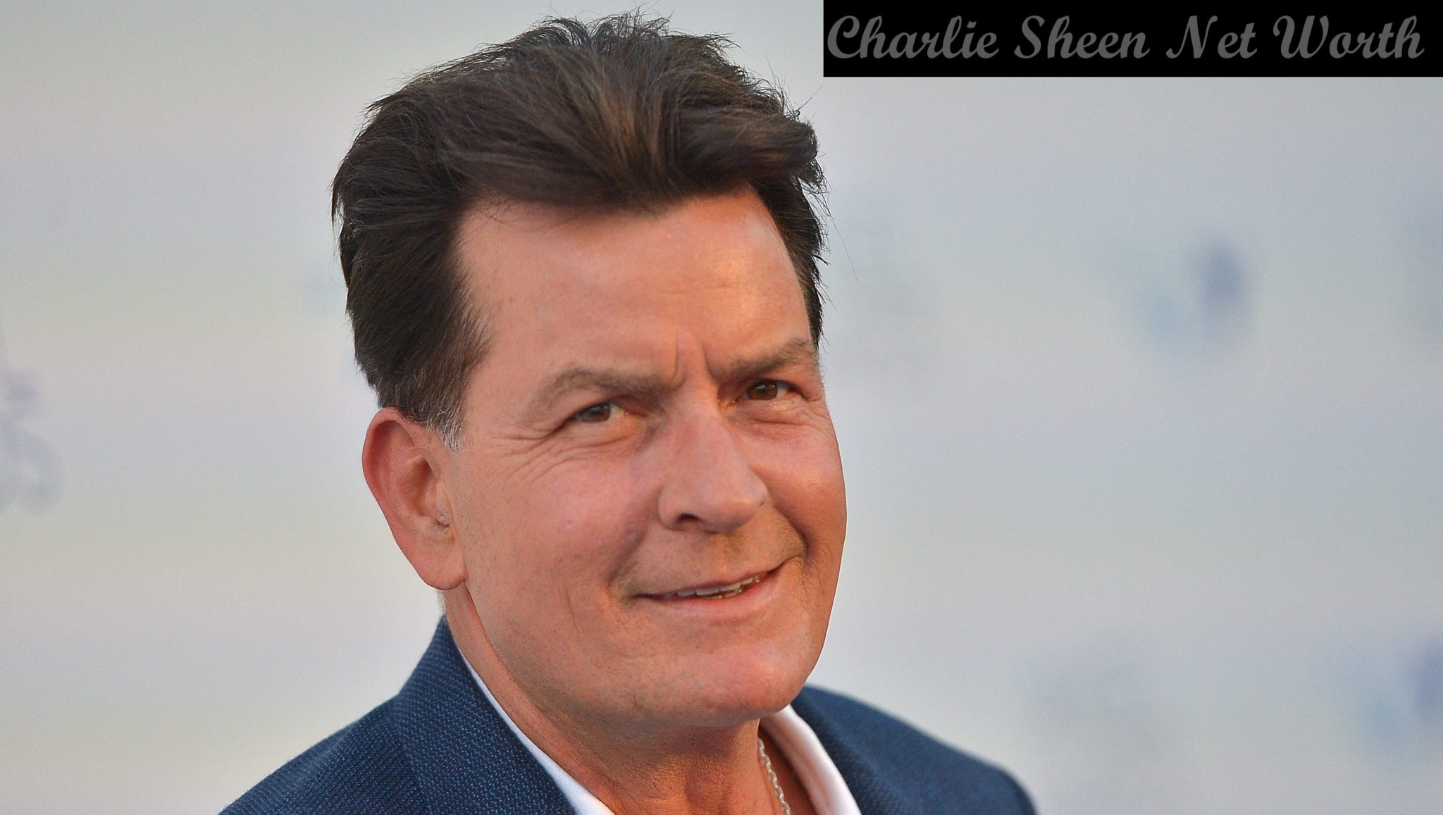 Charlie Sheen's Net Worth Handsome Actor With A Shining Career