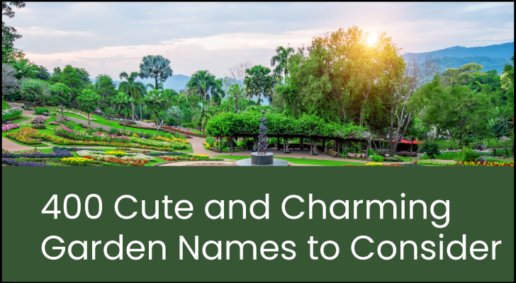 400 Cute and Charming Garden Names to Consider
